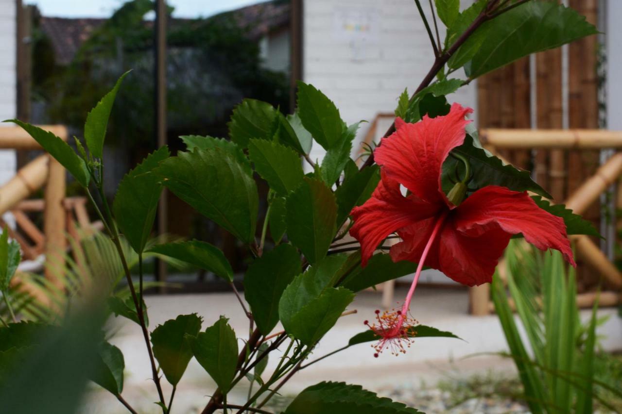 Casita Madame Otel Puerto López Dış mekan fotoğraf